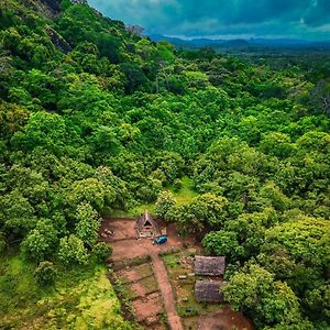 The Forest Edge Resort